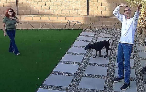 impressed with my antenna skills impressed with my antenna skills